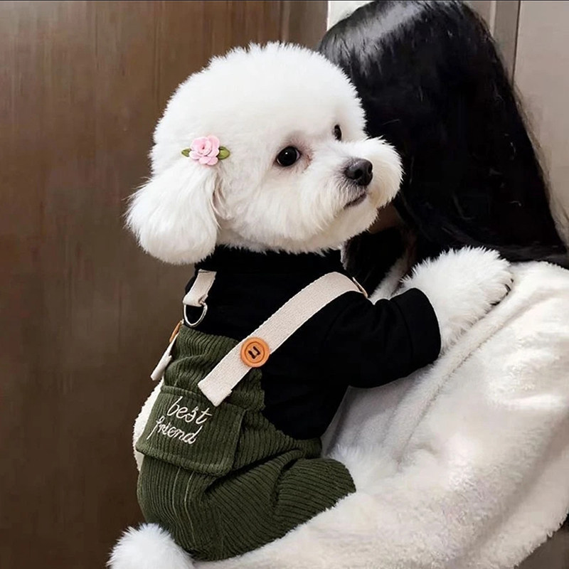 狗狗衣服秋款工装背带裤宠物雪纳瑞比熊泰迪博美薄绒假两件四脚衣