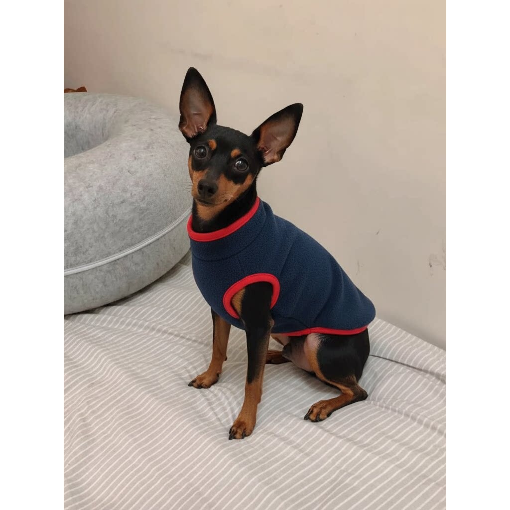 小鹿犬吉娃娃宠物狗狗专用小体型犬带牵引扣两脚衣服过冬天保暖用