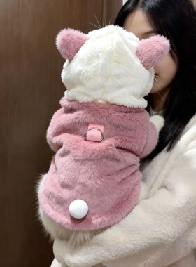 猫咪衣服秋冬保暖带帽棉衣布偶英短幼猫宠物小狗狗加绒加厚防掉毛