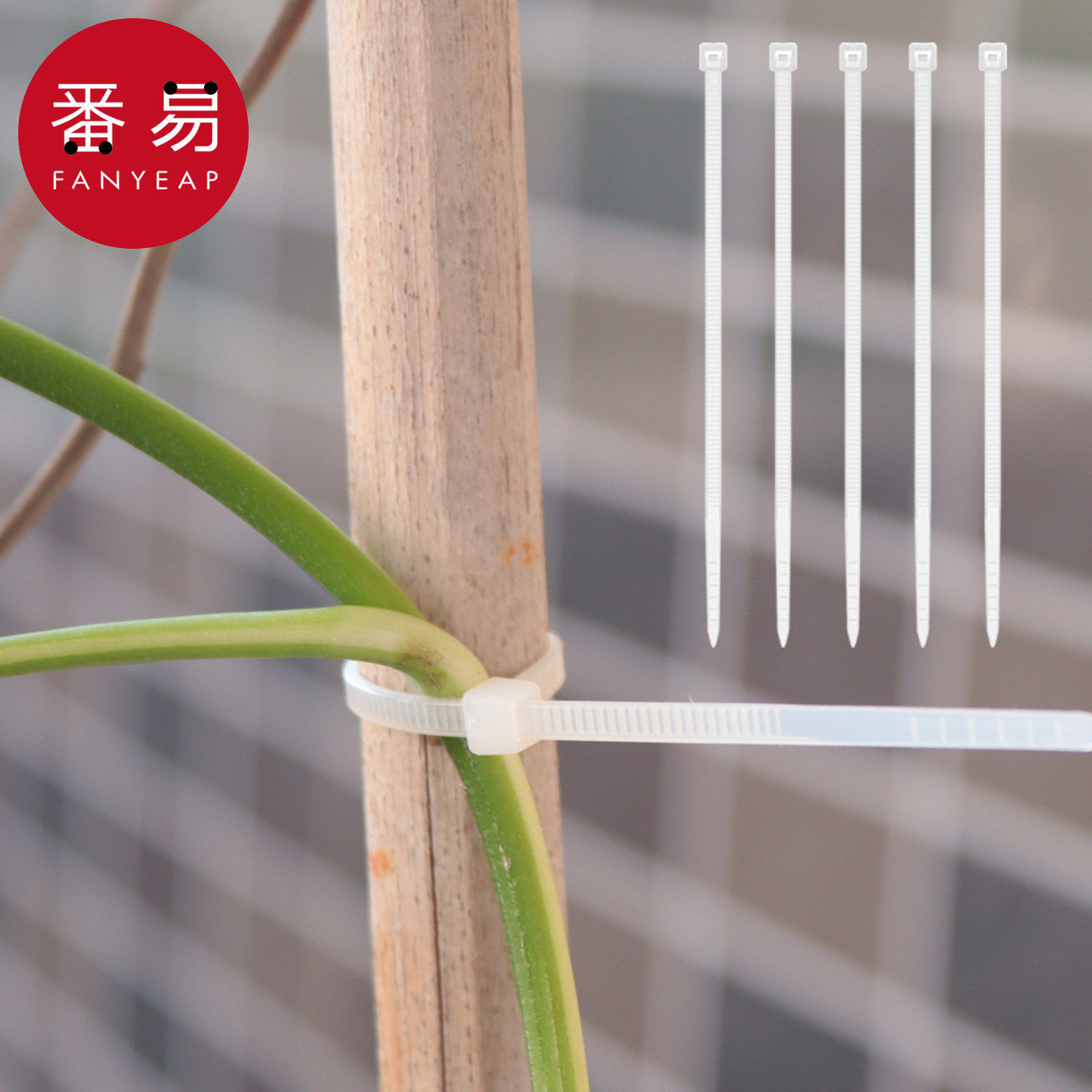 绑带/园艺A1pq808-绑花扎带植物固定定型捆绑带绿植枝干爬藤粘贴,鲜花速递/花卉仿真/绿植园艺,其它园艺用品,淘宝优惠券,粉丝福利购,淘宝优惠卷