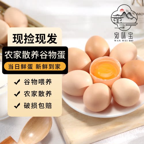 宛味宝鲜鸡蛋10枚*50g精选大鸡蛋