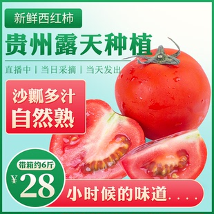 新鲜西红柿贵州农家露天种自然熟当季生吃番茄本地水果西红柿蔬菜