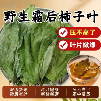 霜后柿子叶中药材新鲜干货