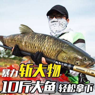 日本进口藤原伽玛鲤碳素鱼竿超轻超硬28调长节台钓竿鲤钓鱼竿手竿