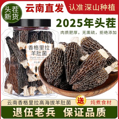云南香格里拉高海拔羊肚菌500g