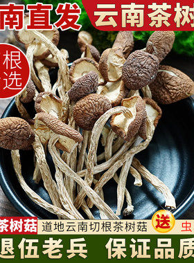 云南高山正品茶树菇干货500g