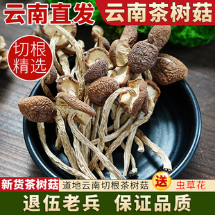 茶树菇干货500g 云南野生菌干货 正品官方旗舰店 香菇干商用批发