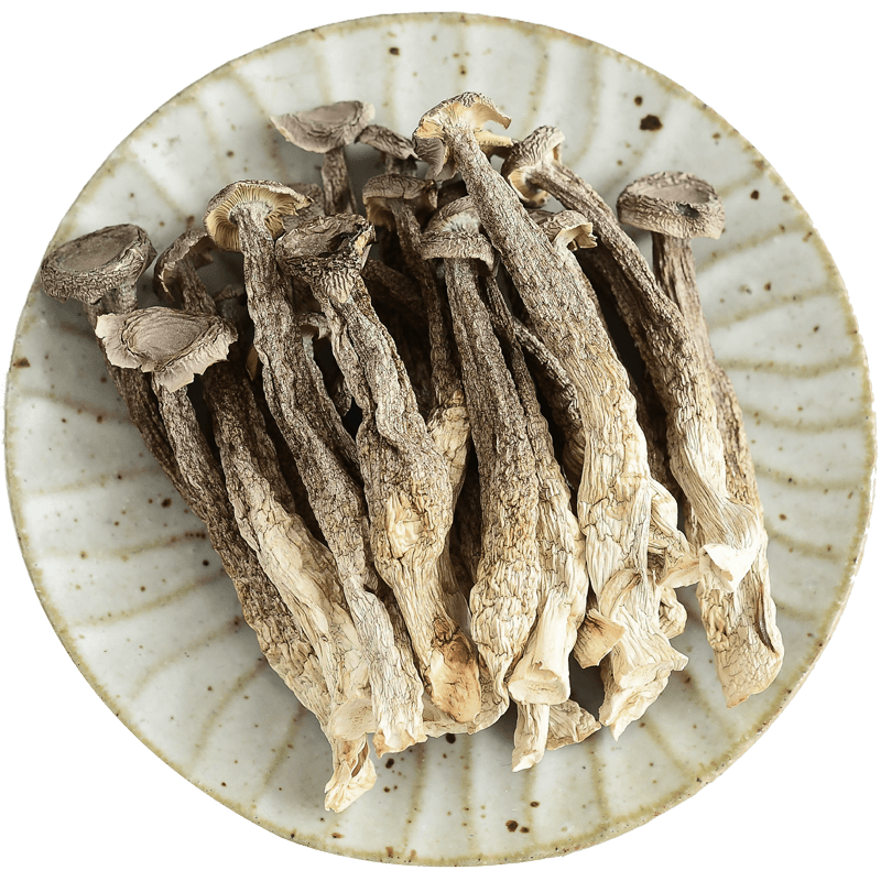 云南有机鹿茸菇 山珍菌香菇干货鹿茸菇正品官方旗舰店 菌子组500g