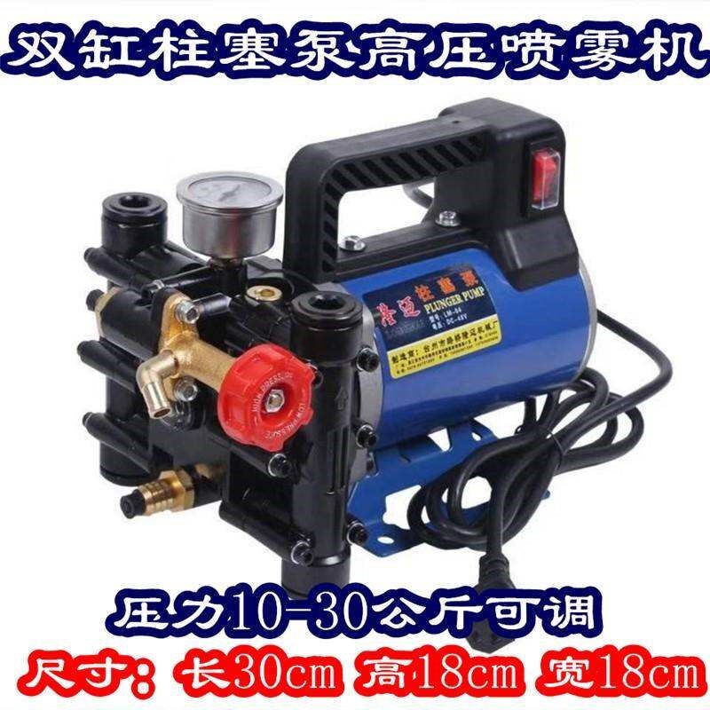 德国手提12V24V48V60V220伏电动喷雾器果树双缸柱塞打药机泵高压