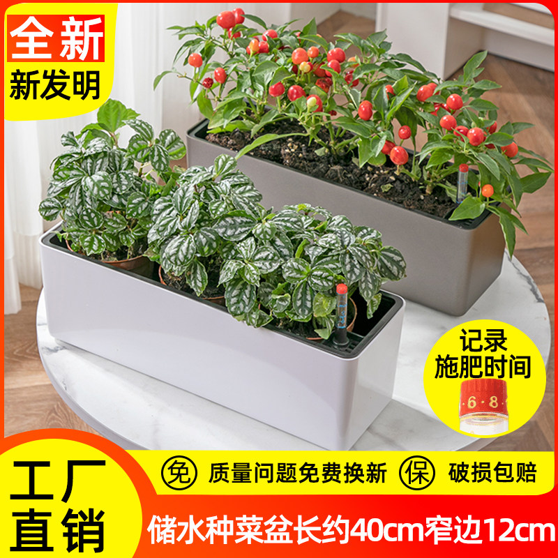 阳台窄花盆长方形加长花槽种菜盆长条塑料种植箱自吸水窗台草莓盆
