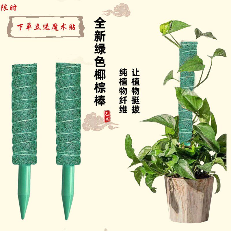 新款绿PVC爬藤架龟背竹支撑杆植物支撑架棕榈柱绿萝花架爬上神器