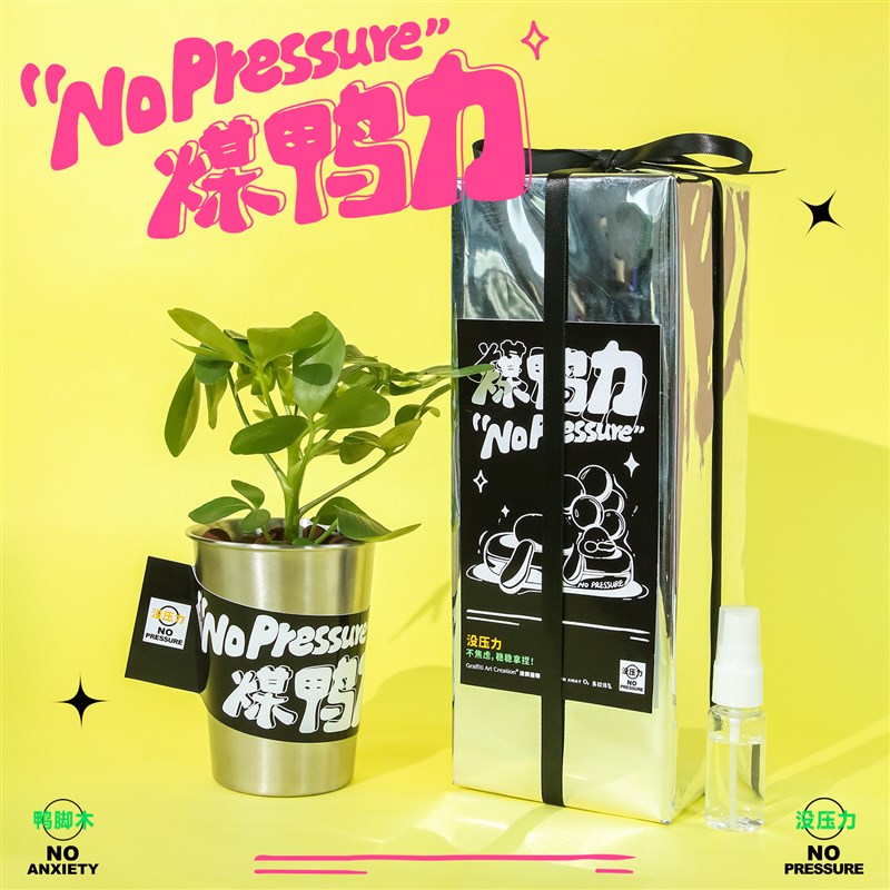 涂鸦造物创意鸭脚木植物办公室桌面绿植小盆栽摆件2024新款送朋友