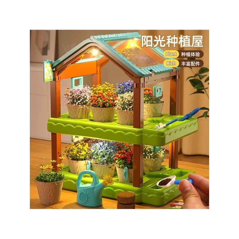 儿童种植b阳光房植物生长观察种子材料包科学实验套装玩具生日礼