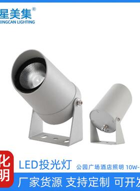 10W20W30W户外市政园林亮化工程LED彩色公园假山照树防水投光灯