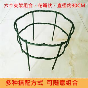 蟹爪兰支架多层双层园艺花架植物爬藤架子兰花绿萝防倒护叶支撑架