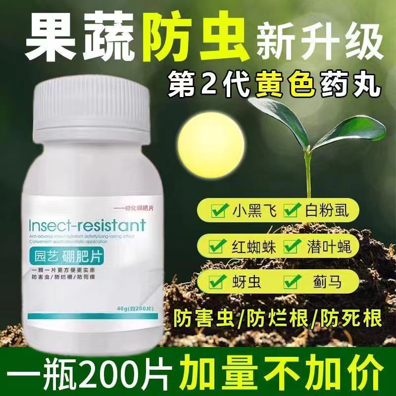 园艺防虫片果蔬花卉绿植驱虫通用防小黑飞蚜虫红蜘蛛白粉虱小菜蛾