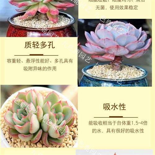 硅藻土营养土多肉植物专用铺面石栽培基质防虫矽藻素矽藻土5斤装