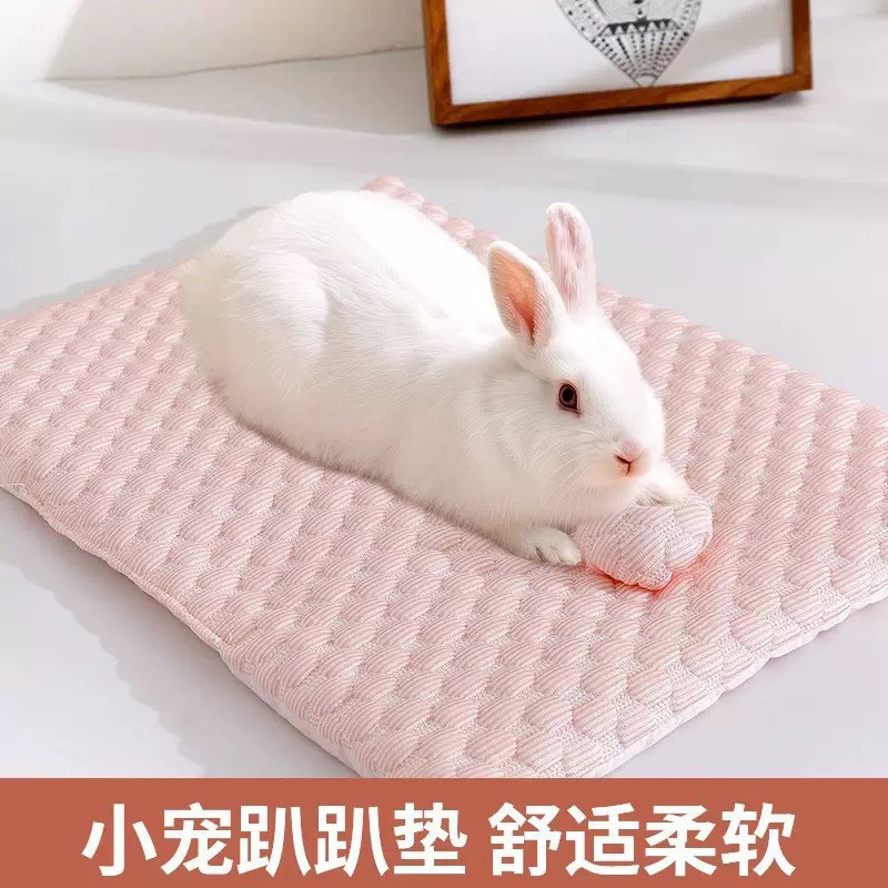 兔子冰丝趴趴垫荷兰猪龙猫豚鼠仓鼠兔兔睡窝睡垫小宠四季通用垫子
