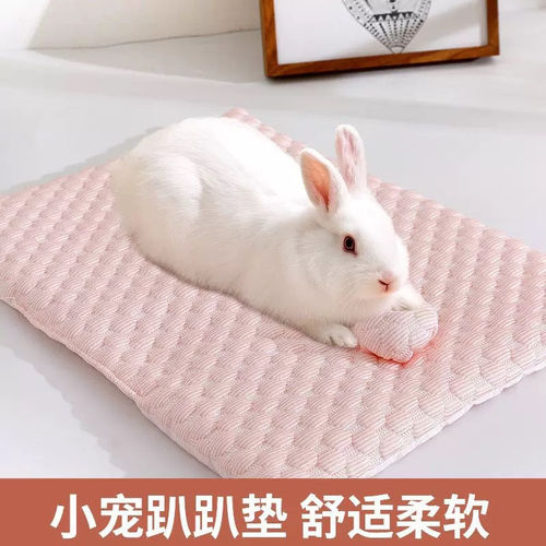 兔子冰丝趴趴垫荷兰猪龙猫豚鼠仓鼠兔兔睡窝睡垫小宠四季通用垫子