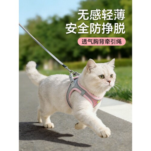 猫咪牵引绳胸背可调节防挣脱不勒脖溜猫宠物猫背心式春夏外出专用