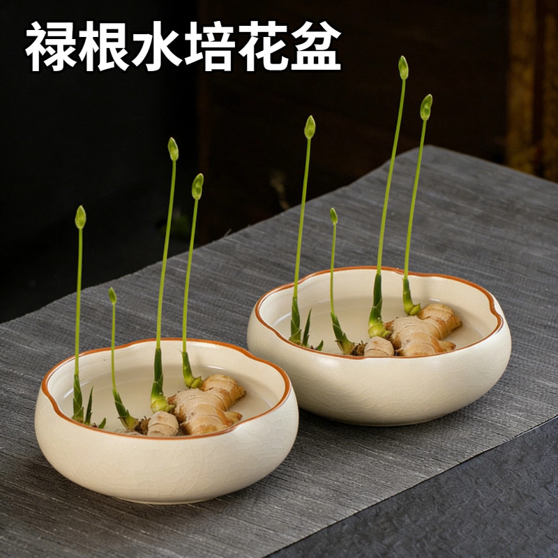 禄根花盆水培种植适合养生姜的器皿办公室桌面养福专用禅意陶瓷盆