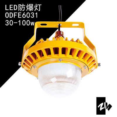 100w防爆灯海洋王小功率LED防爆灯海洋王NFC9189固态免维护防爆灯