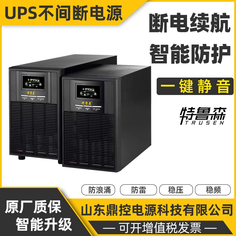 特鲁森TLS1106-LN高频UPS不间断电源6KVA5400W长效机外接电池柜包
