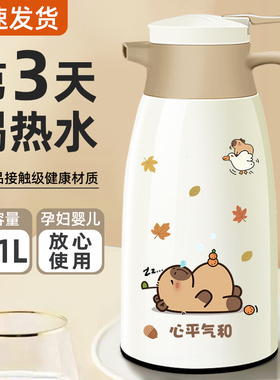 保温水壶大容量暖壶保温壶2025新款家用保温热水壶热水瓶学生暖壶