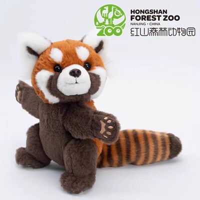 南京红山动物园肖战同款小熊猫抱抱小熊猫啪啪圈嘟嘟毛绒玩具玩偶