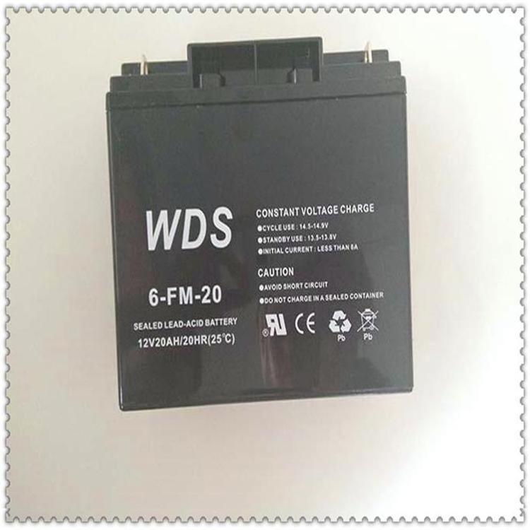 WDS蓄电池6-FM-20纯铅隔