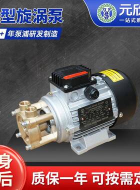 YS-10A不锈钢小型旋涡泵磁力泵高扬程振动小低噪音半导体磁力泵