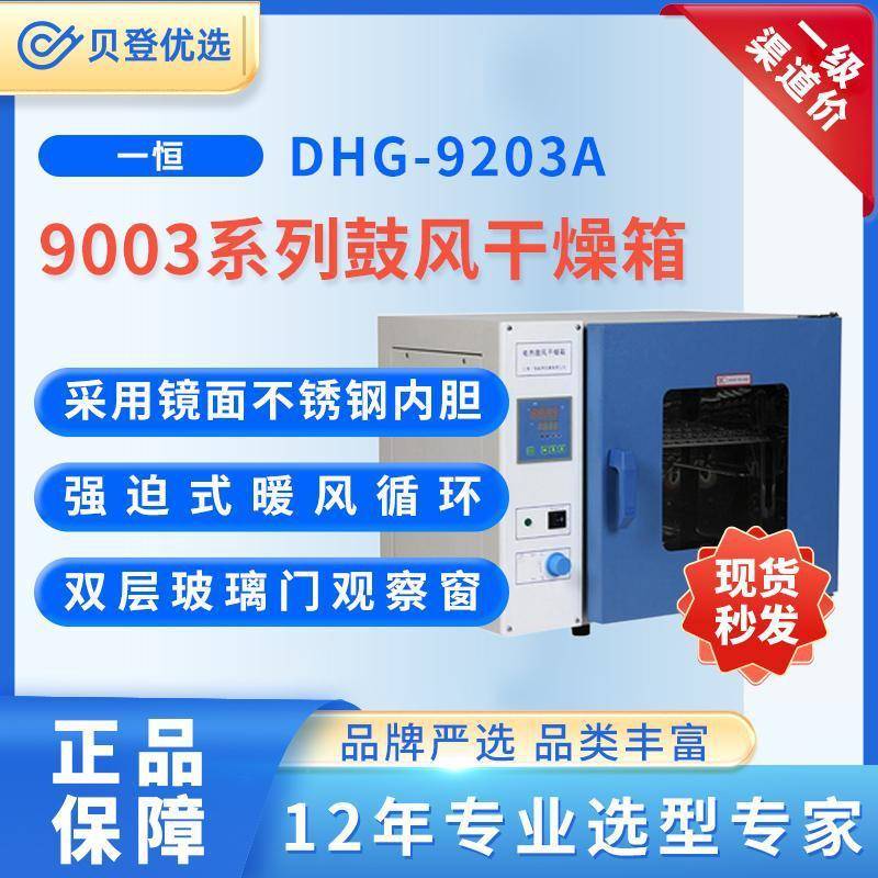 9003系列鼓风干燥箱（DHG-9203A）