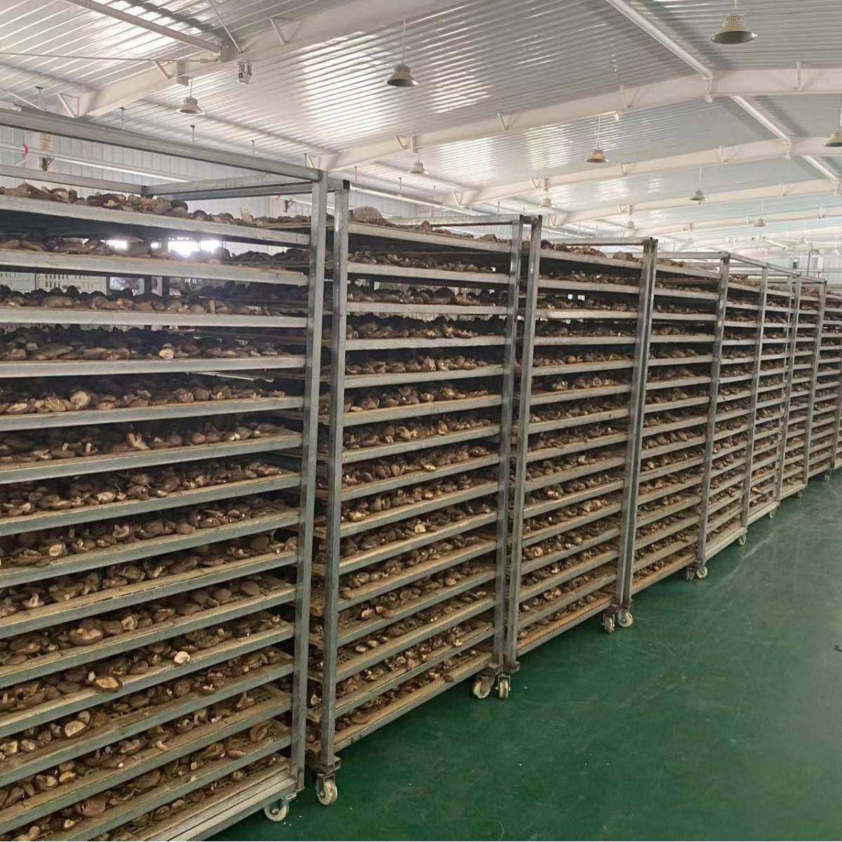 黄花菜苜蓿菜干燥箱空气能热泵山蕨菜脱水烘干房山野菜烘干机,工业油品/胶粘/化学/实验室用品,其他实验室设备,淘宝优惠券,粉丝福利购,淘宝优惠卷