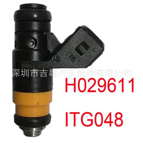 H029611 喷油嘴 适用于2001雷诺梅甘风景1.4 1.6V H029611 ITG048