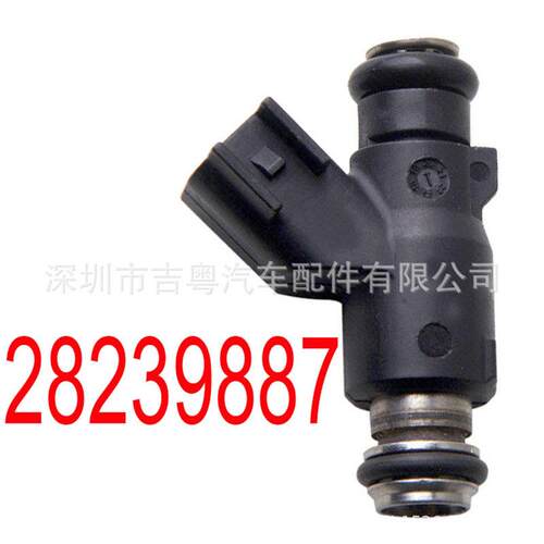 28239887 28239887 适用于德尔福3代系列阁瑞斯 猎豹4RB2喷油嘴