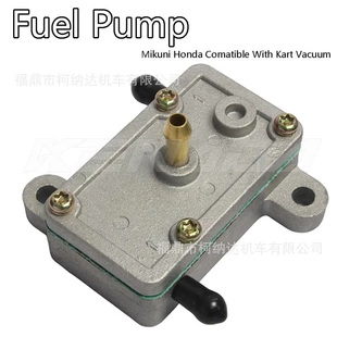 Rctic 150 Gy6 250 300 Cat Z370 Fl250 Engine Pump 燃油泵Fuel