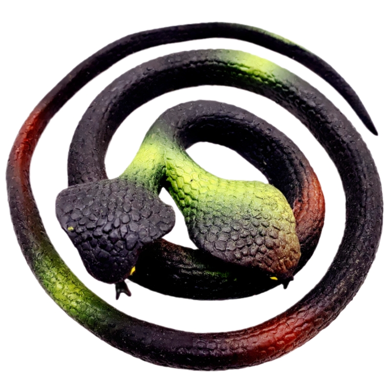 软胶双头仿真蛇两个头眼镜蛇幼儿园儿童认知玩具吓人假蛇动物模型