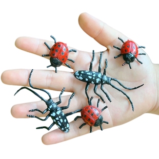 仿真瓢虫天牛套装可爱幼儿园儿童认知益智过家家玩具昆虫动物模型