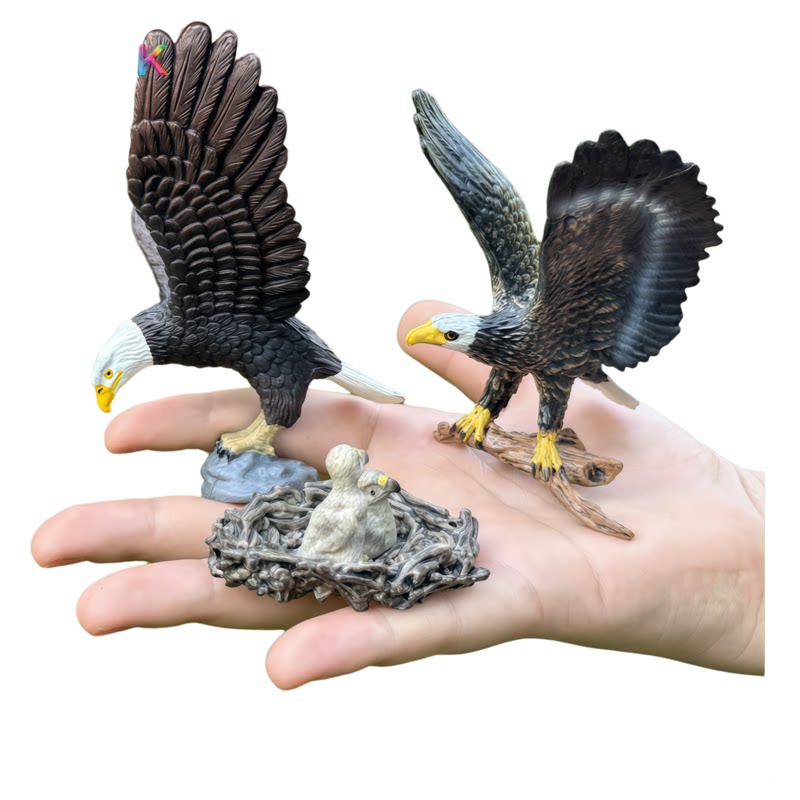 仿真老鹰猛禽微型草窝幼鹰幼儿园儿童认知玩具鸟类微景观动物模型