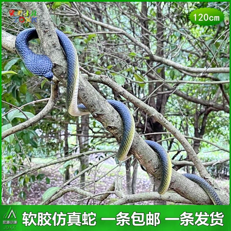 大号软胶仿真蛇眼镜蛇包邮