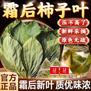 柿子叶中材药干柿子叶新鲜干货可打柿子叶粉柿叶霜后柿子树叶