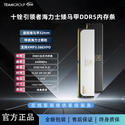 十铨引领者DDR56400（16GX2）