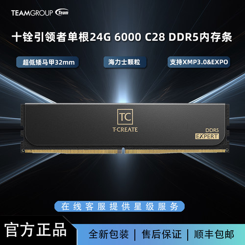 十铨引领者24G6000C28