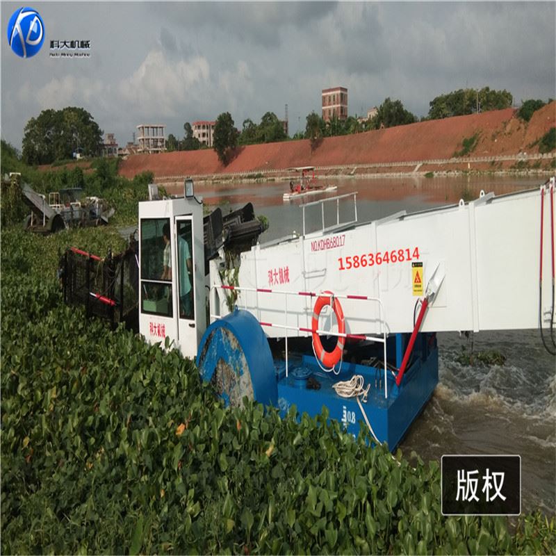 水上杂草清理设备 机械化水葫芦打捞船 水中水花生芦苇收割机械