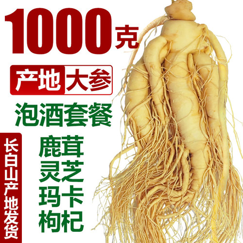 圆耳牛人参长白山鲜人参煲汤泡酒