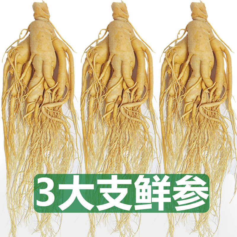 长白山人参东北特产鲜人参煲汤泡酒药材大个鲜参整枝保鲜参高品质