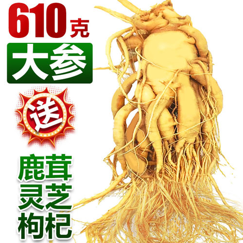 长白山人参泡酒中药材