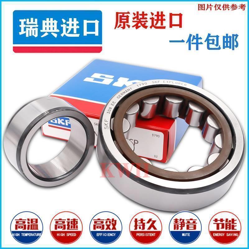 进口SKF轴承N304 N305 N306 N307 N308 N309 N310 N311 N312 ECP