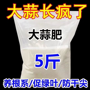 农用肥料蔬菜瓜果大蒜肥膨大素防干尖防病害增产粗壮生根发根专用