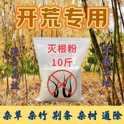 强力除草树王竹子连根除灭根粉高浓度除灌木竹林一扫光不返青